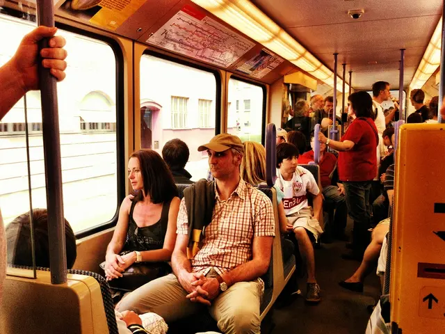 Unraveling the Mysteries of Corvids: A Technological Expert's Handbook for Crow Companionship