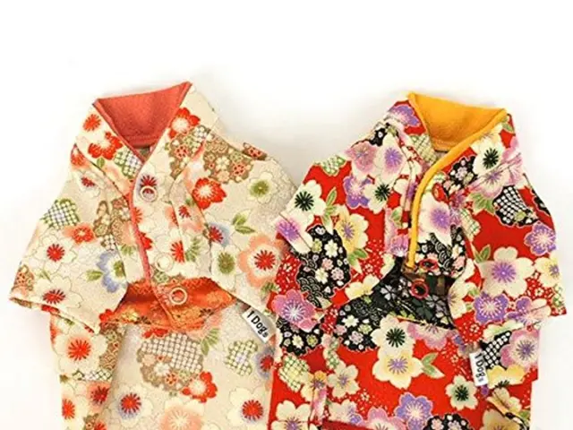 Autumn fashion sees a surge in vibrant hues, notably Carmine and Burgundy, gracing women's dress...