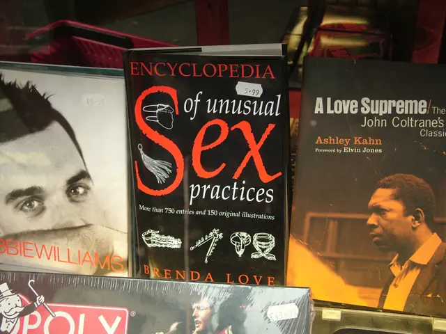 Accessibility in E-Book Design: A 5-Step Guide for User-Friendly Reading for All