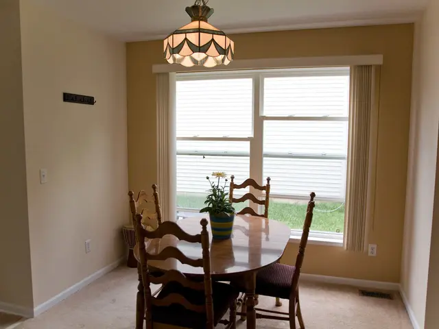 Guide for Selecting Ideal Houseplant Suitable for Your Living Area