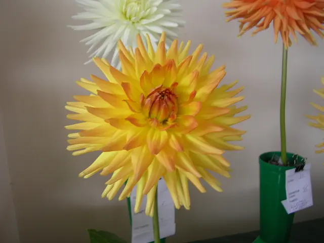 Create a DIY Flower Pot Decoration Using a Sharpie Marker in a Simple Three-Step Process!
