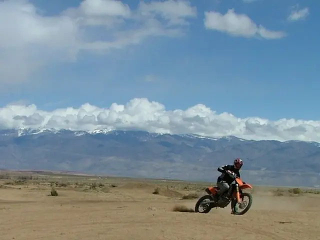 Chance to Obtain a Self-Driven Lawnmower from Cobra Valued beyond £380 as Prize!