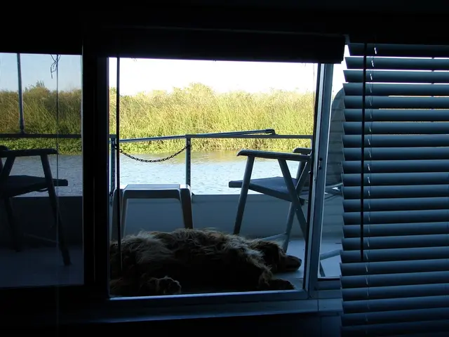 Overlooking a crucial element during a puppy's socialization can have significant implications;...