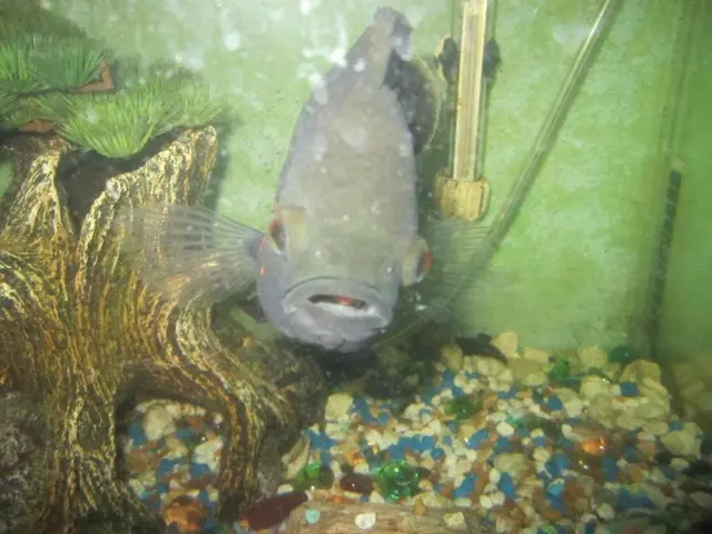 Exploring NT Labs Marine Lab Test Kits: A Comprehensive Purchasing Guide