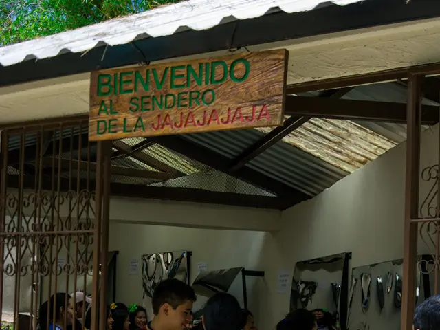 Discover the Benefits of Choosing Our Site for Your Dubai Office Fitting