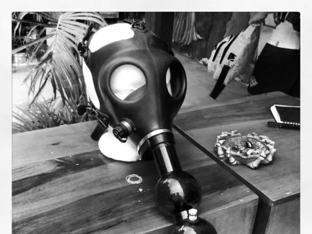 Efficient Gardening Tricks for Time-Strapped Individuals