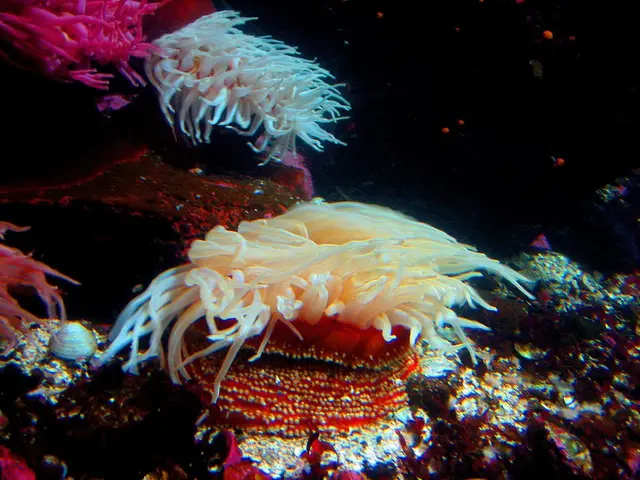 Southeastern Asian youth engaging in preservation efforts for underwater ecosystems
