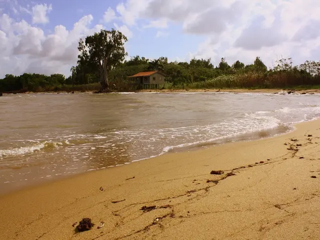 Sandra Bullock's High-Value Real Estate Holdings Unveiled