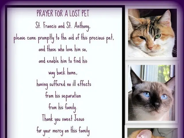 Tired, repetitive, and costly?