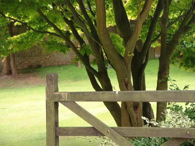 The Impact of Landscape Ecology on Urban Sustainability