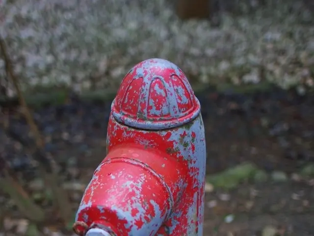 "Experts advocate for still buying a rainwater collector, despite the hosepipe ban, due to its...