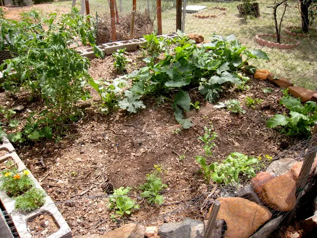 Gardening Hot Pots: Adding Heat to Your Outdoor Space