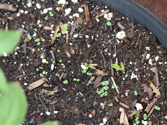 Navigating Difficult Soil: Growing Plants in Adverse Growing Situations