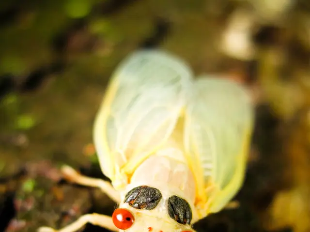 Unidentified Pests in Plant's Soil: Learner's Guide to Identification