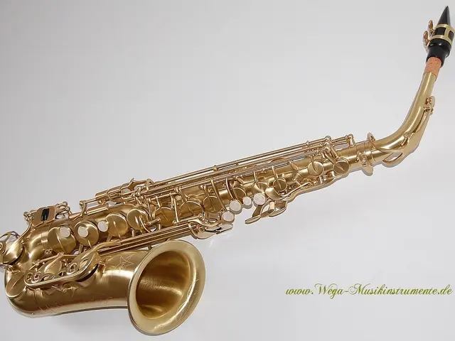 Funded acquisition of saxophones to boost music education in Obertshausen