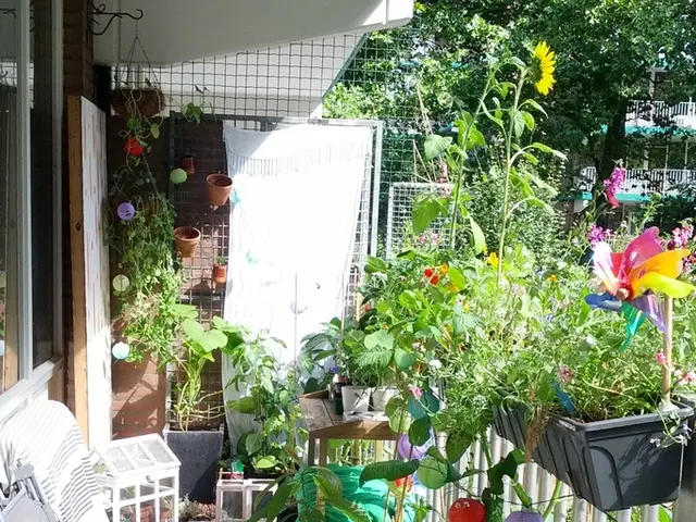 Transformation Ideas for Your Backyard That Won't Emptily Your Wallet