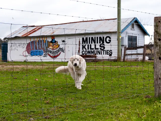 Attorney Salkin deemed the dog-owning stipulation as not straightforward