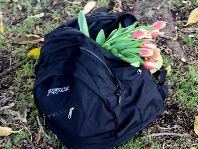 The Superiority of Fabric Grow Bags Over Traditional Plastic Plant Containers
