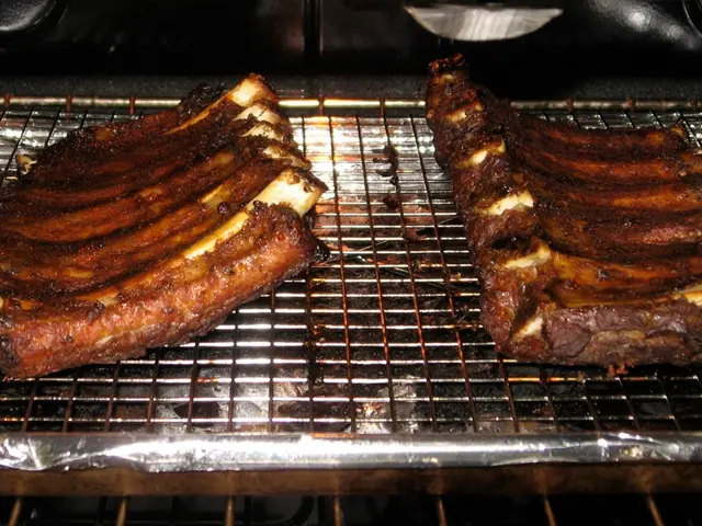 Top Grill-Out Options for Caravan Cooking in 2025: Our Recommended Choices