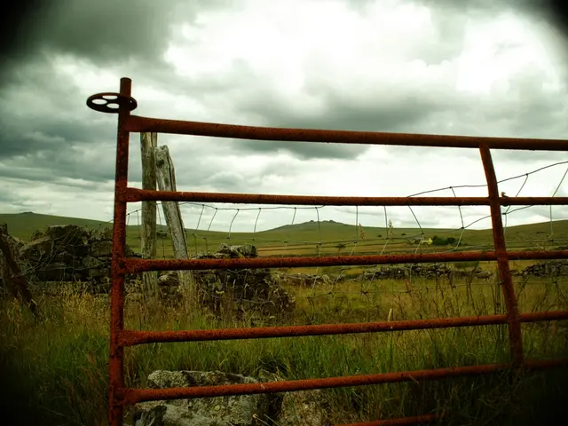Outdoor Cooking Shelters Guaranteed Weather-Resistant – Ideal for Small Backyards