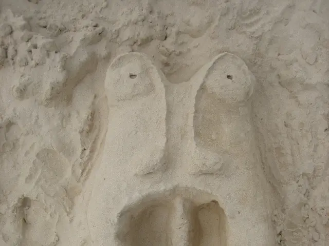 Ancient carvings reappear on an Oahu beach, left as a baffling enigma.
