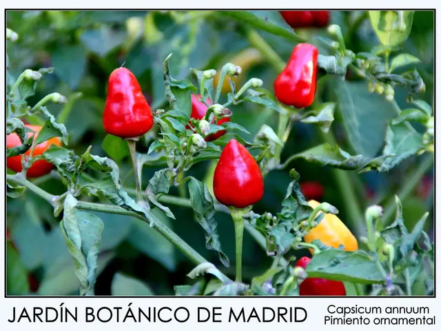 "Twelve Ordinary Plants Prohibited in Certain U.S. Jurisdictions"