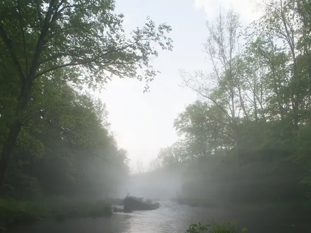 Refreshing Home with Spring Cleaning Techniques: A Guide to Revitalize Your Living Space