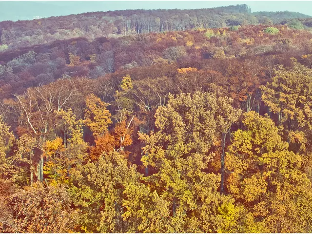 Shift in gardening trends: Adapting lemon trees over apples due to climate change impacts on...