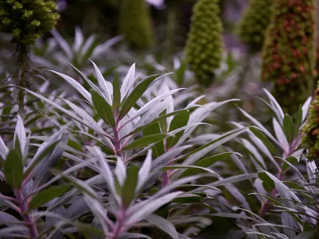 Method for separating continually growing, yearly plants with multiple stems or bulbs