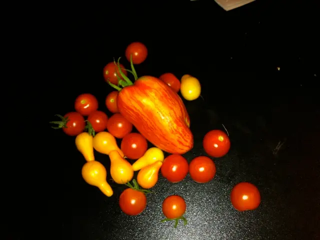 August Harvest: 13 Fruits Perfect for Picking and Savoring