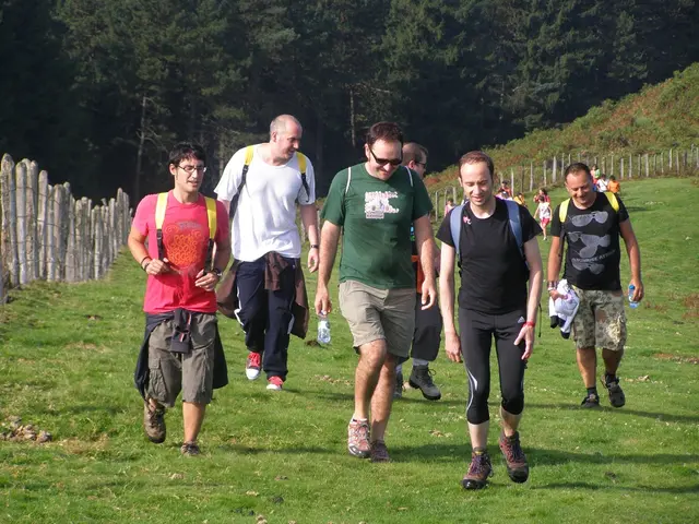 Alpacas being tended by Helma and Benthe