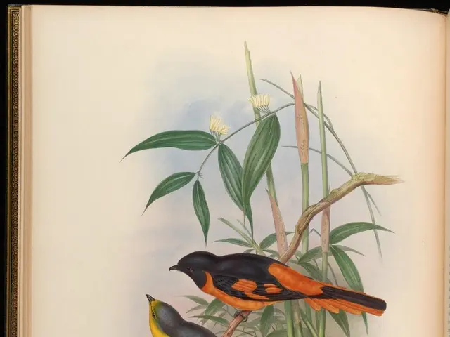 Crafting a Fundamental Origami Bird Design