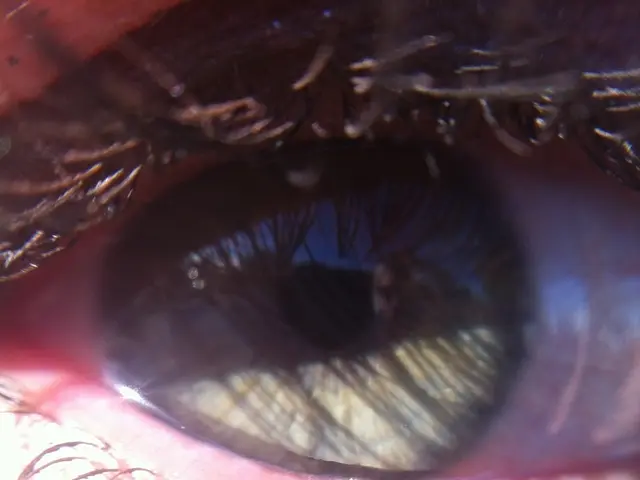 Top-Notch Waterproof Mascaras That Remain Intact During Rain, Tears, and Swimming