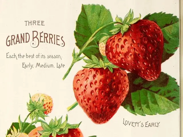 Enjoyable Audiobooks for a Sun-Kissed Season!