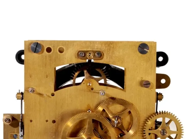 Unrivaled Rowing Machine Wins the Test, Offering an Irresistible Deal for the Champion Product