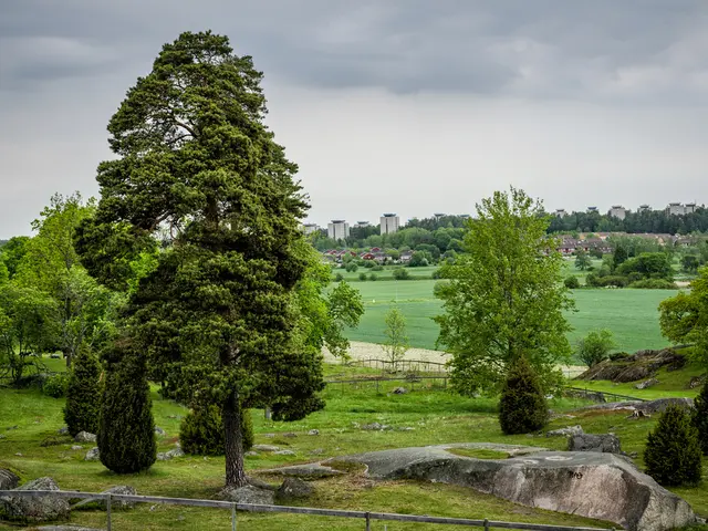 Backyard Innovations: Six Crucial Suggestions for Minimizing Upkeep