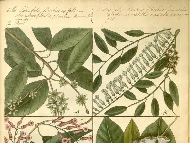 University hosts plant swapping event