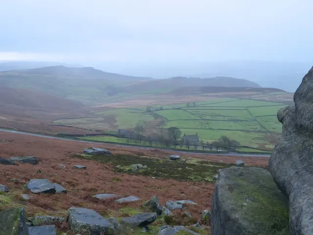 Town of Oberviechtach revokes honorary citizenship from Erika Odemer