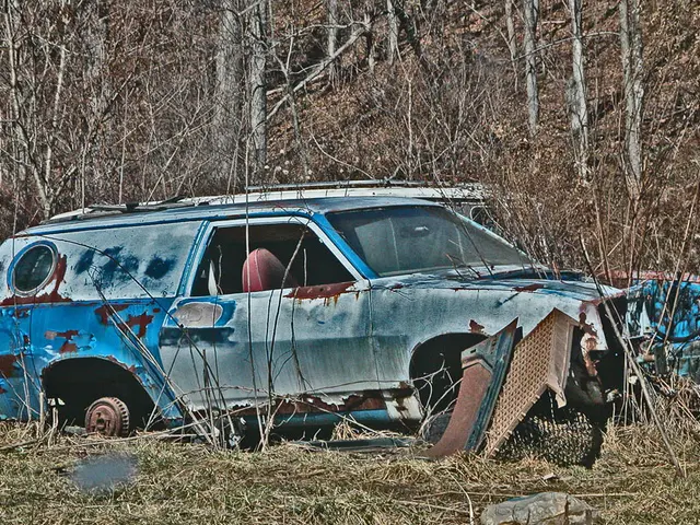 Abandoned Spots: Nature's Reclaim over Human Infrastructure