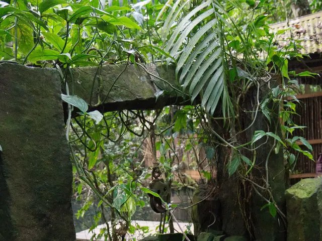 "A Step-by-Step Manual for Installing Modern Well Pumps"