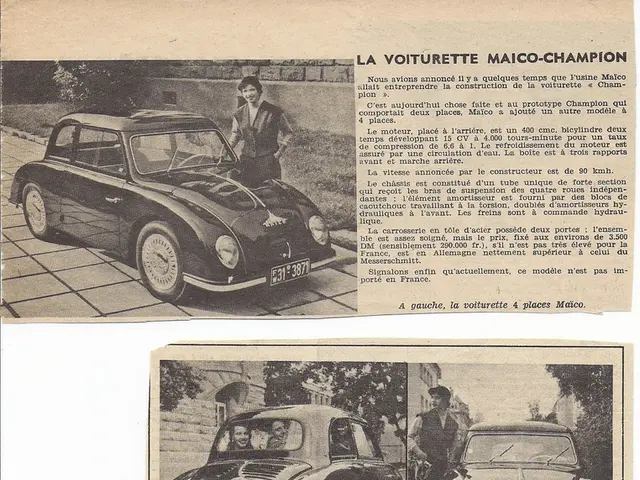 Conceal bra straps using paper clips as fasteners.