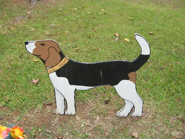 Delighting Canines: An Exploration