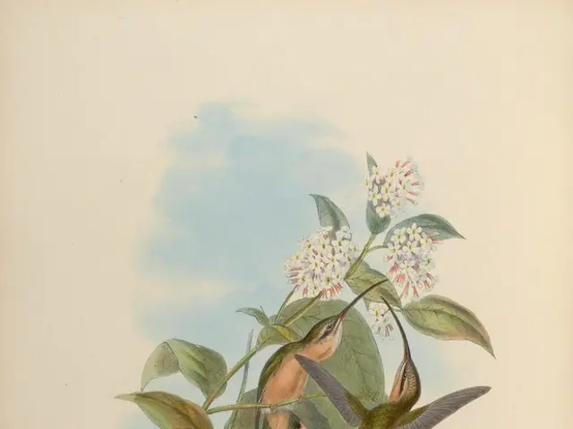 Hummingbirds might find petunias irresistible, offering a potential way to draw these beloved birds...