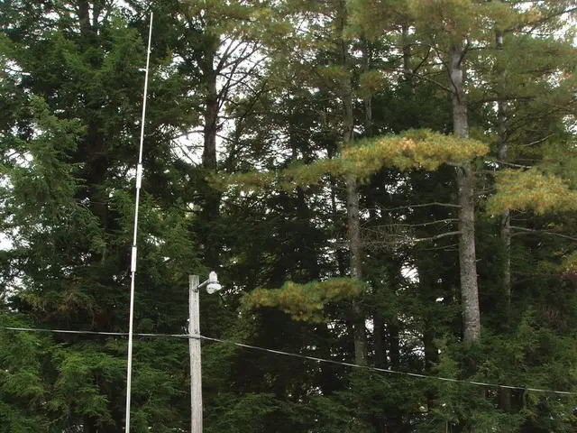 I improved the lighting in my 1998 campervan by installing LED strips: here's the process I...