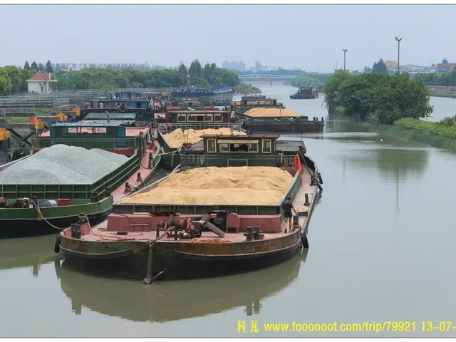 Aquatic Humanoid with Tales and Flippers