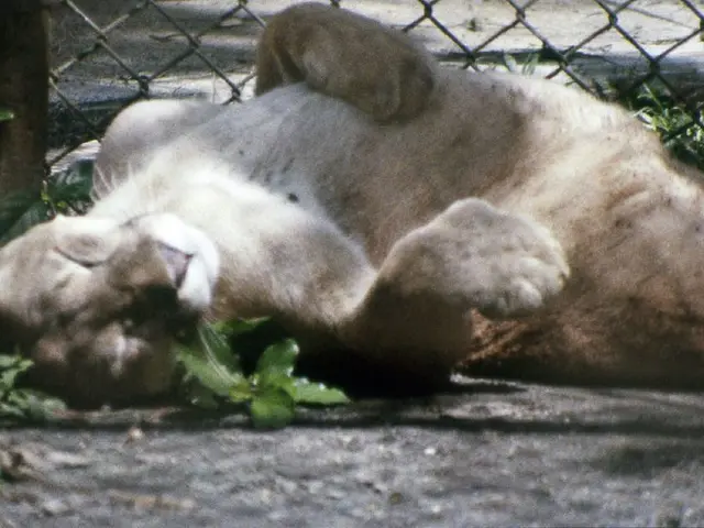 Lawmaker Weimer Suggests Recipients of Public Funding Should Avoid Gender-Based Practices