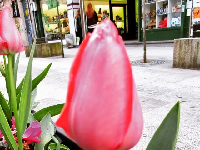 The East Village receives a new addition with The Flowery's eighth store in New York City, focusing...