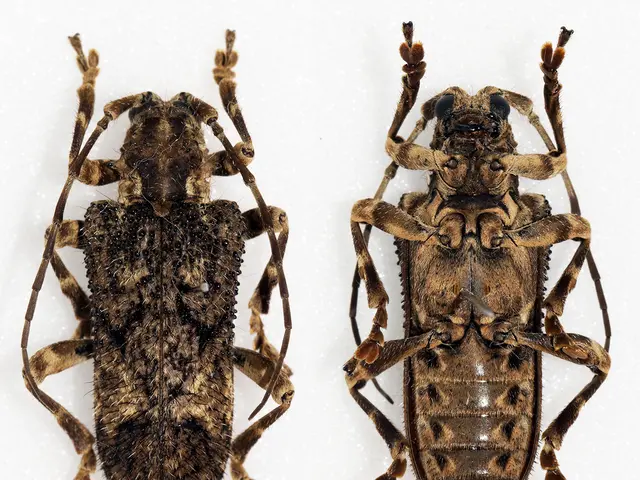 Does bleach effectively eliminate roaches? Our entomology experts disclose the truth behind this...