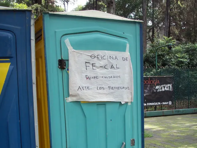 Top-notch Dehumidifiers Ideal for Basement Use