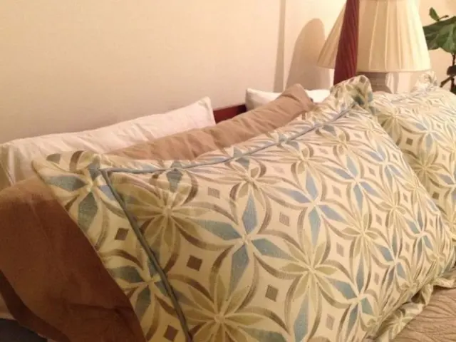 Drew Barrymore's stylish $25 accent pillow in burnt orange sheds new light on the obscure trend.